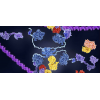 Biochem  Assays