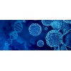 Drug Resistance Cell