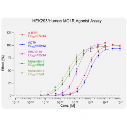 test CHO-K1/Human M1R 